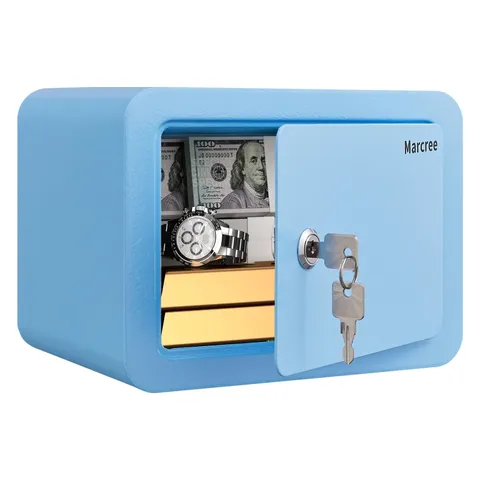 Mini Safe Box, 0.23 Cub Home Safes for Kids, Steel Money Box with Key Lock, S...