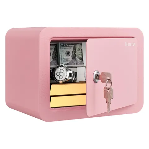 0.23 Cubic Small Safe Box for Home, Mini Safes for Kids, Pink Safe with Key, ...