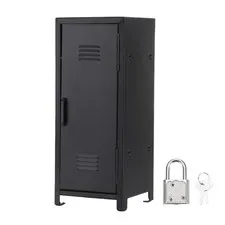 Mini Locker 4.3 x 10.8 Inch, Small Locker with Lock Keys, Black