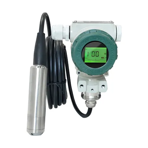 Submersible Level Gauge with Display Sensor Water Level Gauge SS Probe Water Tan