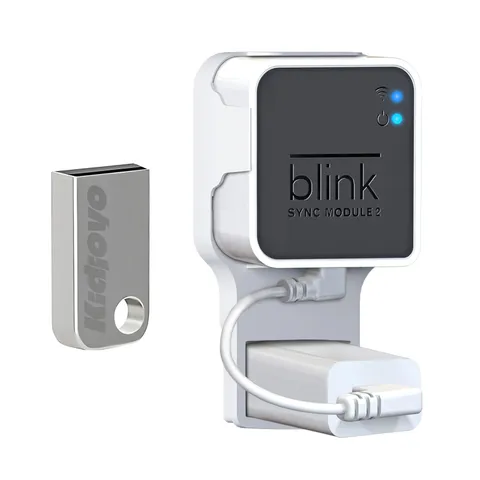 256GB Blink USB Flash Drive & Wall Mount for Blink Sync Module 2 with Short C...