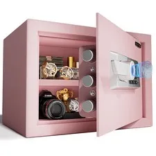 Biometric Safe Box 1.0 Cubic Foot Fireproof Fingerprint Quick Access Security