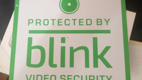 Blink Motion Detection Indoor Home Security 2 Camera System White Opened Box