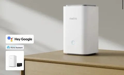 Reolink Home Hub with 64G microSD Card Security Center