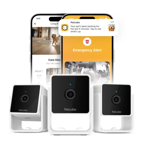 Cam The Pack of 3 | Indoor Wi-Fi Pet with App, 2-Way Audio and Video, Night V...