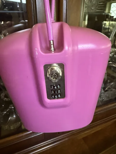SAFEGO Portable Travel Safe & Lock Box - Pink