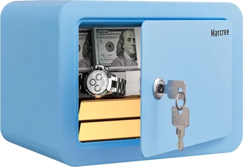 Mini Safe Box, 0.23 Cub Home Safes for Kids, Steel Money Box with Key Lock, Smal