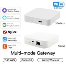 Zigbee Gateway Wired Wireless Tuya WiFi BLE Smart Home Bridge Remote FOR Alexa