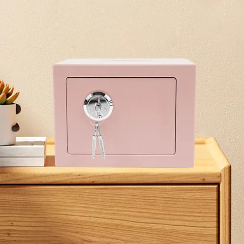 Pink Safe Box with Drop Slot & Mechanical Key Lock, Wall Mounted