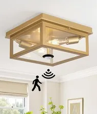 Lynnoland Motion Sensor Outdoor Ceiling Light with Remote, 12.2 inch, Gold
