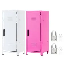 Mini Locker 4.3 x 10.8 Inch, 2 Pcs Small Locker with Lock Keys, White/Rose Red
