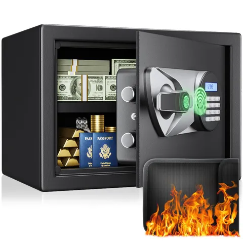 Biometric Safe 1.0 Cub - Fingerprint & Keypad Lock, LCD Display - Wall Mount