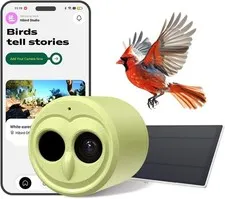 2.4G/5G Dual WiFi Hibird 4K HD Smart Bird Feeder Camera Solar