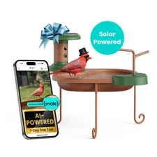 Smart Bird Bath W/ Camera Solar Powered AI Identify Live View Instant Notify
