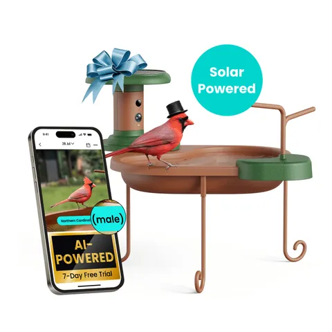 Smart Bird Bath W/ Camera Solar Powered AI Identify Live View Instant Notify