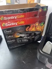 SentrySafe 1200 Box Safe with Key Lock 0.18 Cu. Ft. Fire-Resistant