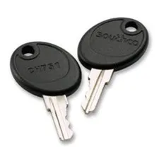 Southco PK-10-01-05 Brass CH751 Over-Molded Keys (Pack of 4)