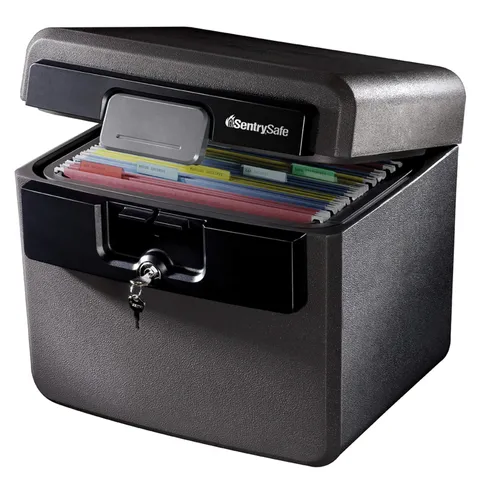 SentrySafe Black Fireproof and Waterproof Safe, File 0.65 Cubic Feet, black