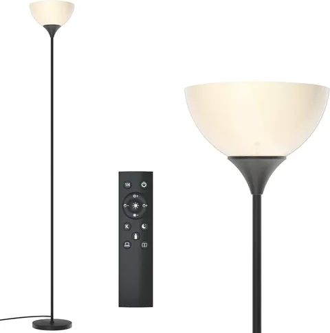 PESRAE Floor Lamp, Remote Control with Stepless Color Temperatures and...