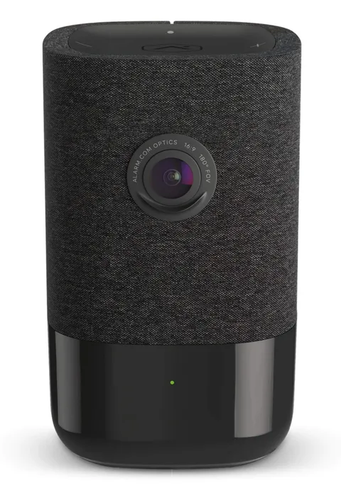 ALARM.COM 180 Degree HD WiFi Camera ADC-V622 1 Count (Pack of 1), Black