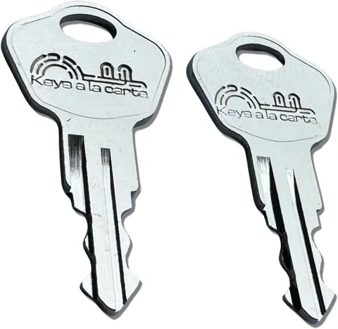 Pair of Replacement Keys for Sentry Safe Lock Boxes, Fire Chests, Fire... 