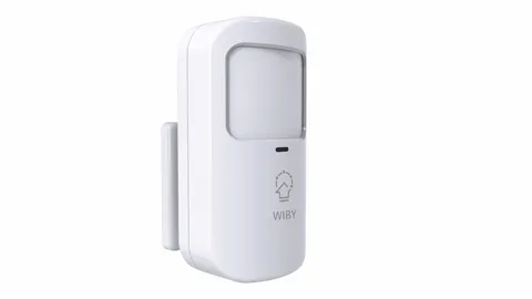 Wireless Motion Detector Wifi Alarm ZX-P10 Compatible ZX-G30 Home