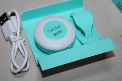 Birdie Disc Alarm Personal Security Alarm Aqua