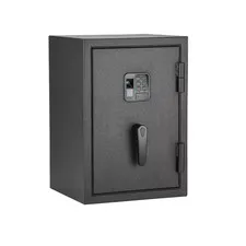 Biometric 1.0 Cu. Ft. Waterproof and Fireproof Home Safe Advanced Finger Vein Re
