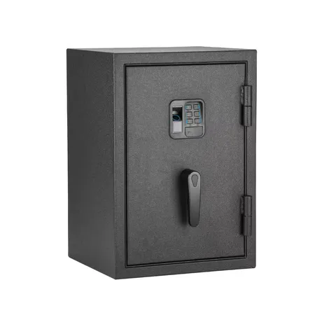 Biometric 1.0 Cu. Ft. Waterproof and Fireproof Home Safe Advanced Finger Vein Re