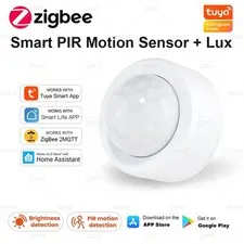 2 in 1 Zigbee Mini PIR Motion Detector Bright Lux Light Passive Infrared