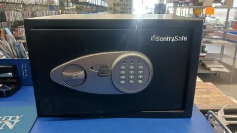 SENTRY SAFE SMALL SAFE W/ KEY (C26033369)