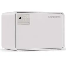 Biometric Safe for Home, 0.6 Cube Feet Auto-Open Fingerprint Safe with Touch ...