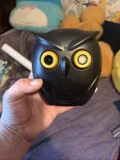 An Owl  Outdoor Camera