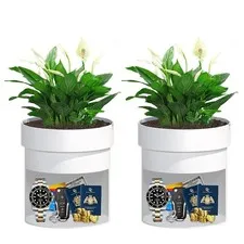 Sdstone Fireresistant Waterproof Flower Pot Diversion Safe Key Locksstainless