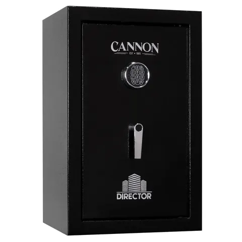 Cannon Director 60 Min. Fire Rated Home Safe