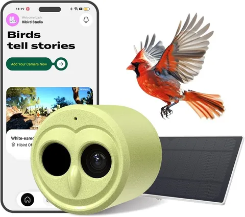 2.4G/5G Dual WiFi Hibird 4K HD Smart Bird Feeder Camera Solar