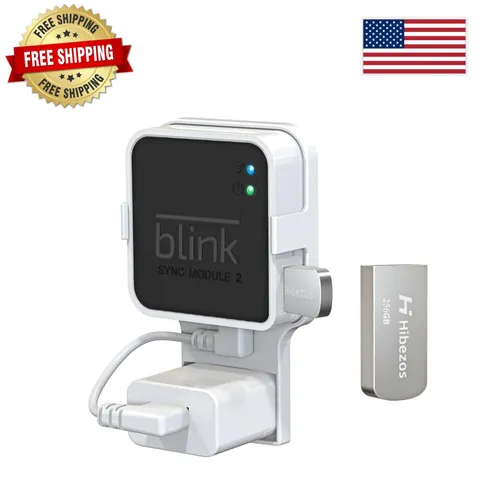 Blink Sync Module 2 Outlet Wall Mount and 256GB USB Flash Drive for Blink Local
