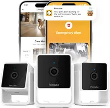 Cam the Pack of 3 | Indoor Wi-Fi Pet Security Camera with Phone App, 2-Way Audio