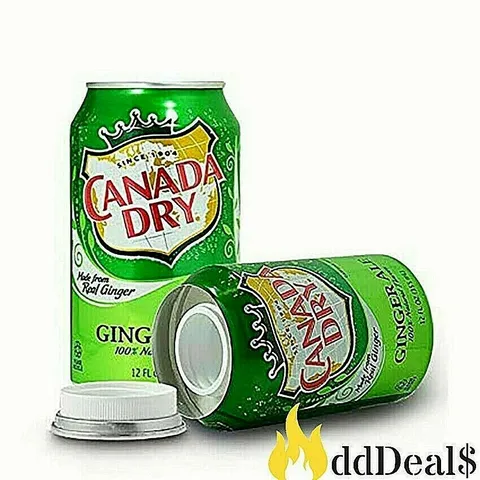 CANADA DRY Can Diversion Safe with Secret Compartment for Valuables - NEW