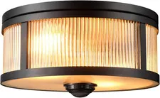 Motion Activated 2-Light Outdoor Ceiling Light, Matte Black, 25ft Range
