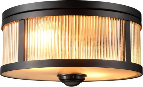 Motion Activated 2-Light Outdoor Ceiling Light, Matte Black, 25ft Range
