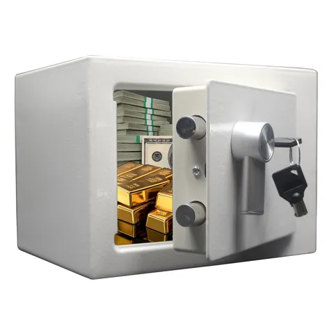 Yuanshikj Steel Safe Box - Key Locked, 0.2 Cubic Ft Small Home Safe for Cash & J