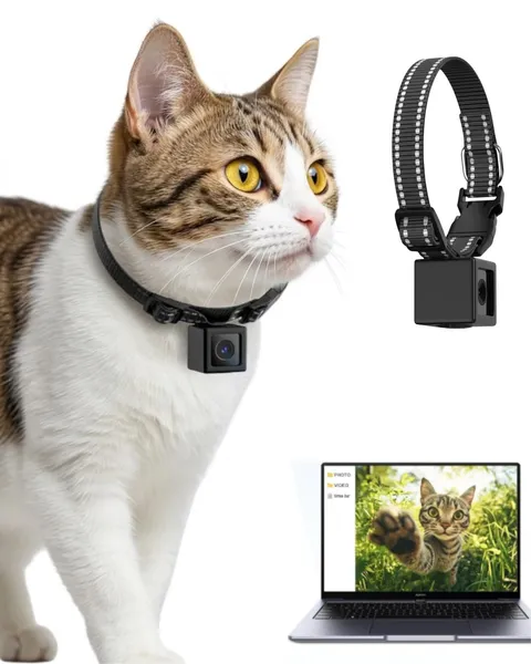 Cat Camera Collar 1080P HD Video Recorder Pet POV Action Cam for Cat