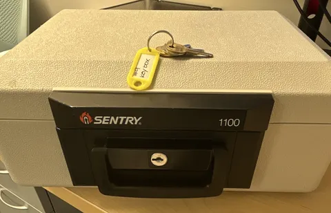 Sentry 1100 Small Fire Resistant Safe Key Lock 1/2 Hr UL Gray Metal 4 Keys