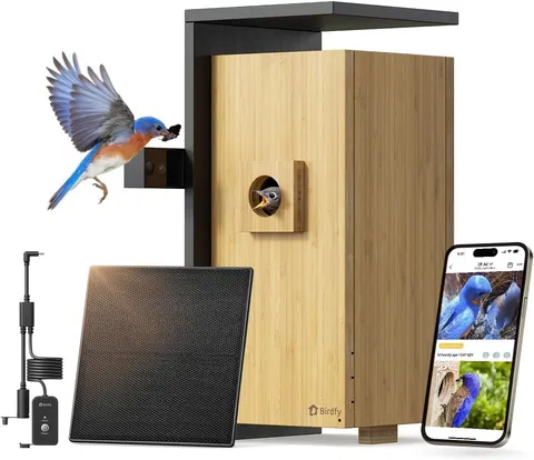 Birdfy Smart Bird House Dual-Cam 1080P Solar AI Identify Bamboo