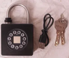 NEW SWF Fingerprint Padlock with Keys, Heavy Duty Combination Lock, APP Access