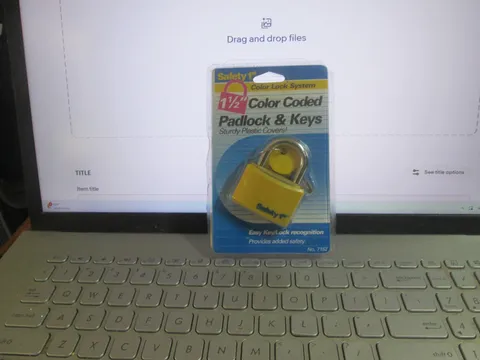 Safety First Solid Brass Body Color Coded Padlock & 2 Keys