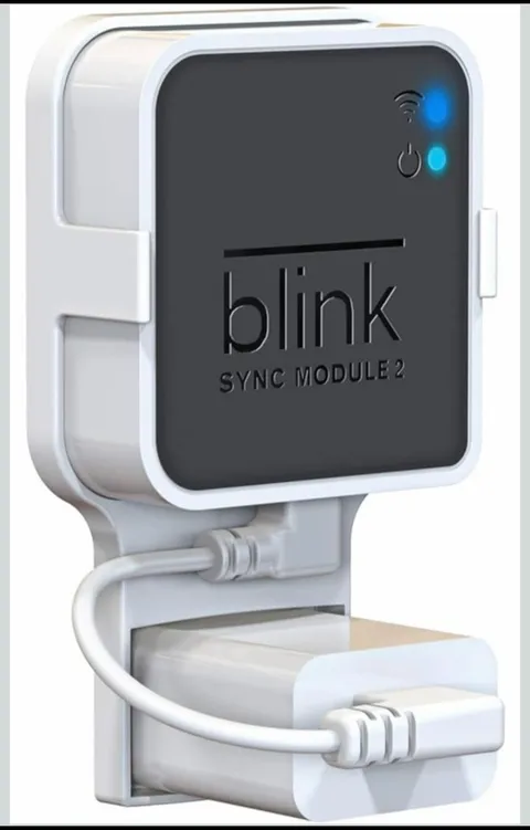 Blink Sync Module 2 Outlet Wall Mount Stand for Holder Hanger Home Security