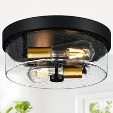 Flush Mount Ceiling Light Fixtures, 2-Light Black and Gold 