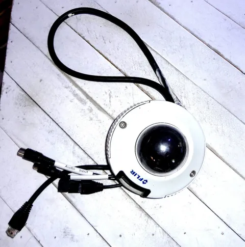 FLIR 2.1MP HD Ruggedized Vandal-Resistant Compact IR Mini Dome IP Camera
